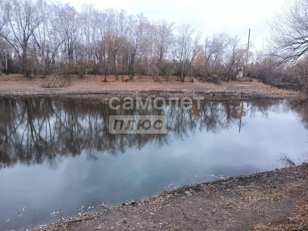 Участок в Воронежская область, Семилукское с/пос, с. Ендовище ул. ... - Фото 1