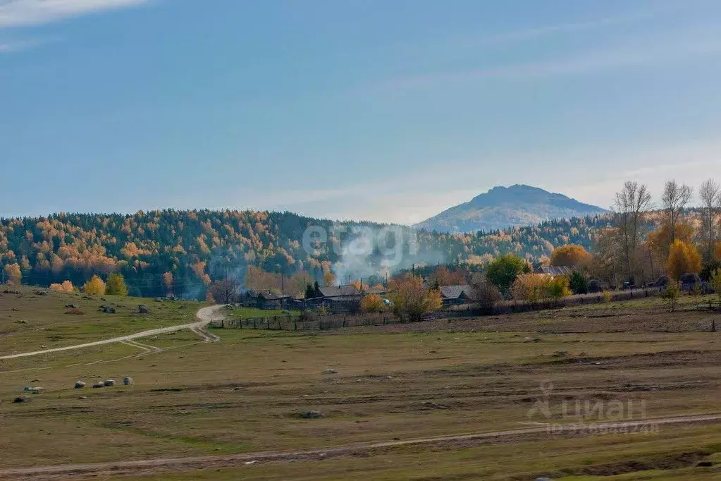 Участок в Алтайский край, Алтайский район, с. Алтайское ул. Полевая ... - Фото 1