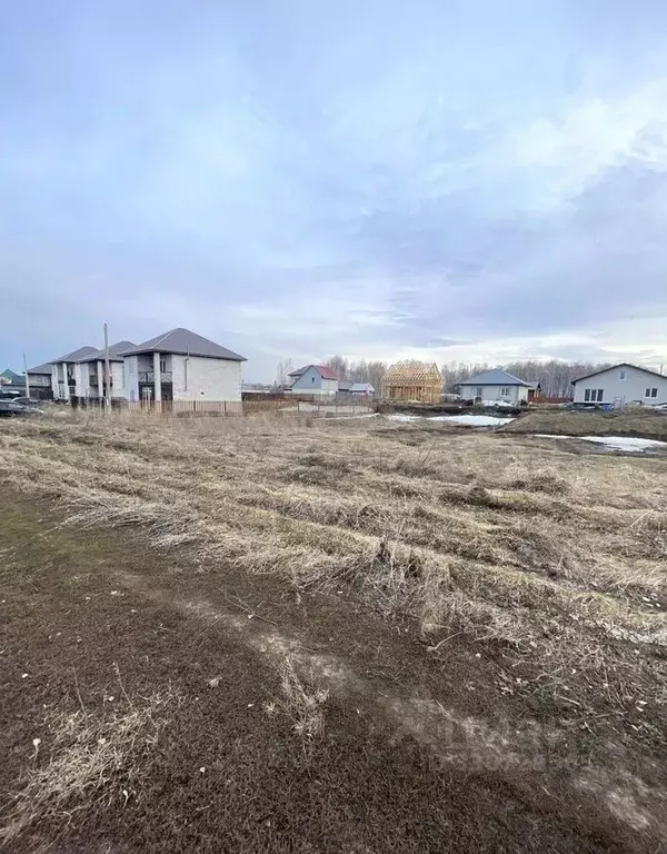 Участок в Алтайский край, Барнаул городской округ, с. Власиха ул. ... - Фото 2