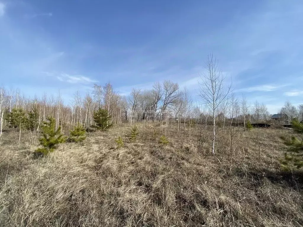 Участок в Курганская область, с. Кетово ул. Мирная (12.0 сот.) - Фото 1