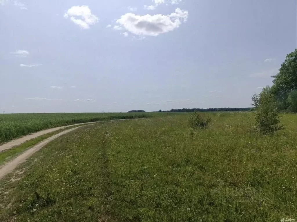 Участок в Марий Эл, Советский район, Кужмаринское с/пос  (8.18 сот.) - Фото 2