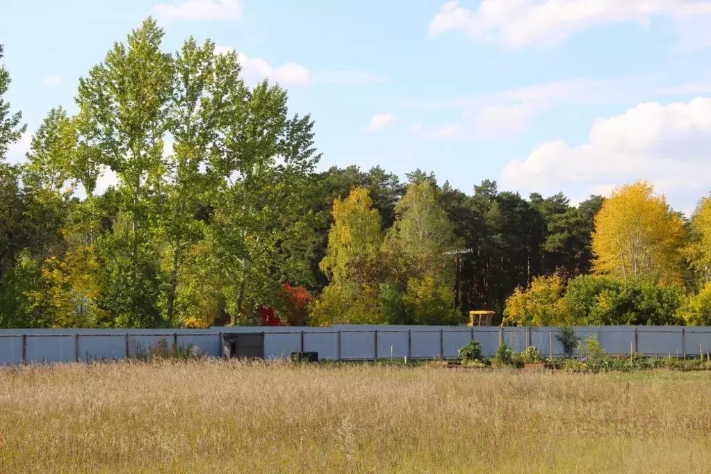 Участок в Омская область, Омский район, с. Новотроицкое ул. 5-я ... - Фото 2