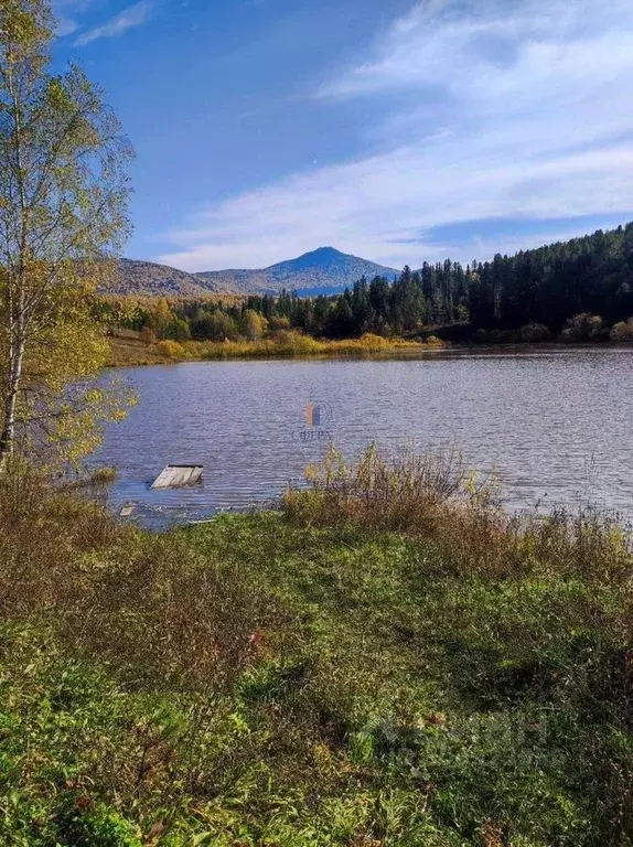 Участок в Алтай, Майминский район, с. Карасук  (2000.0 сот.) - Фото 1