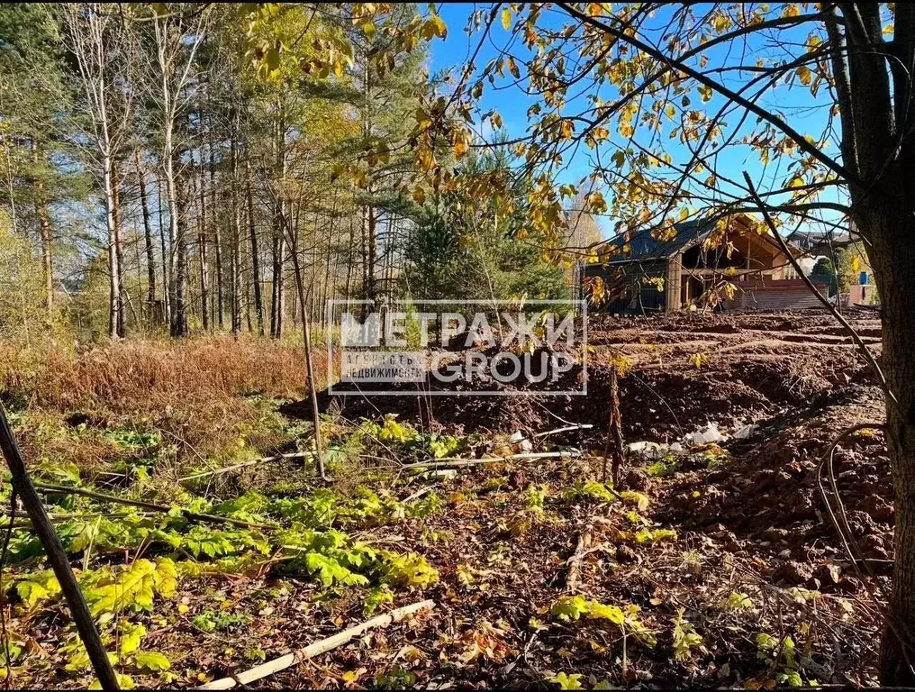 Участок в Московская область, Щелково городской округ, пос. Литвиново  ... - Фото 2