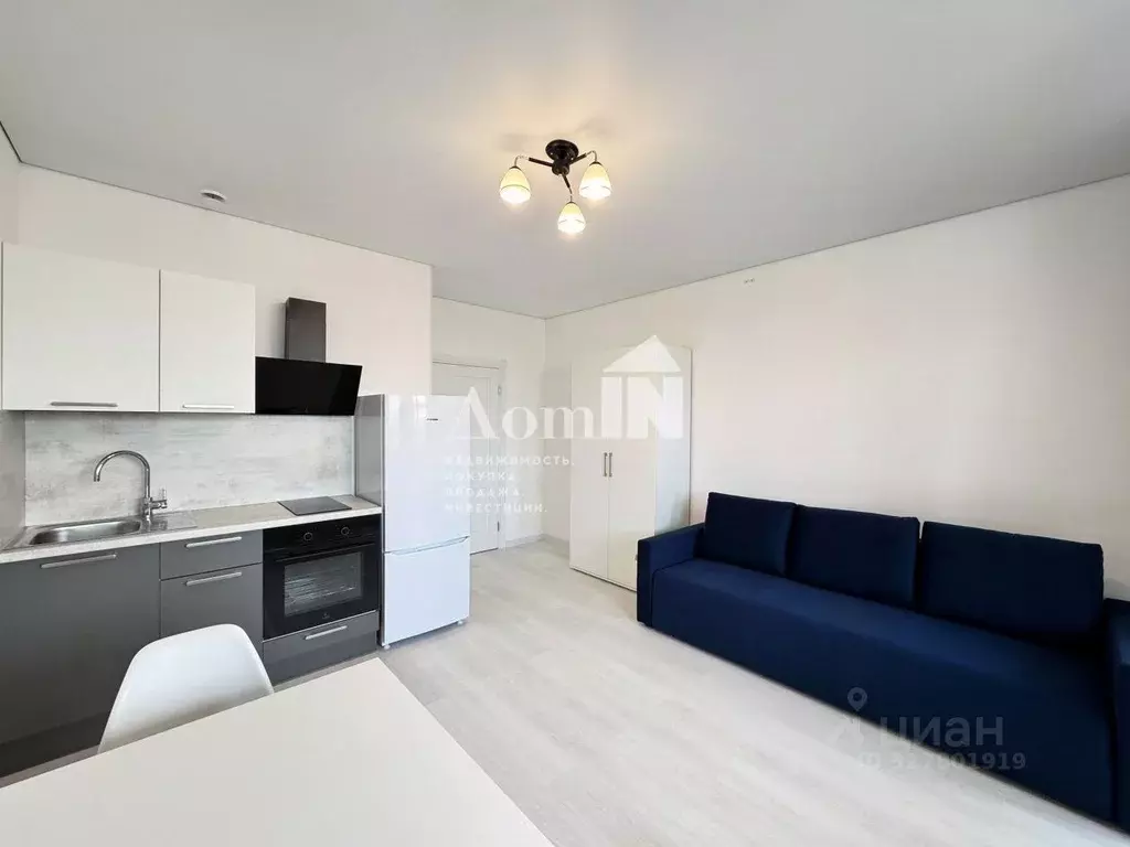 Студия Санкт-Петербург просп. Буденного, 15 (24.5 м) - Фото 1