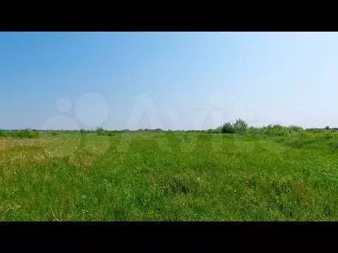 Участок 7 сот. (ИЖС) - Фото 1