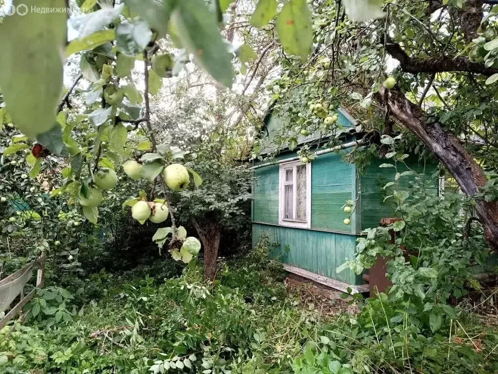 Дом в Калуга, садово-дачное товарищество Коммунальник, Берёзовая улица ... - Фото 1