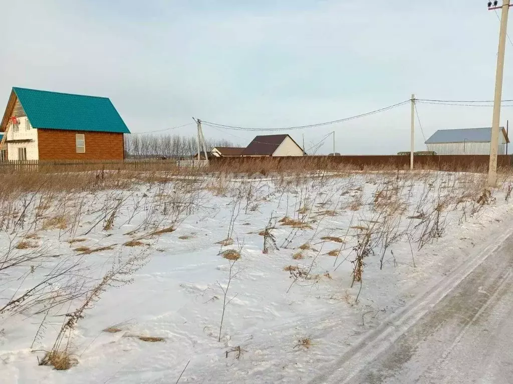 Участок в Новосибирская область, Колыванский район, с. Скала ул. ... - Фото 1