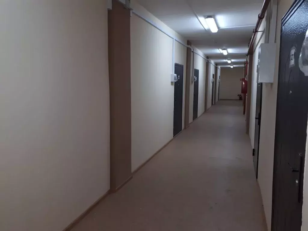 Помещение свободного назначения в Московская область, Егорьевск ... - Фото 1