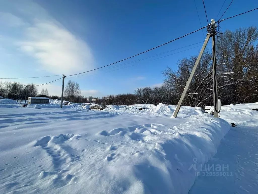 Участок в Нижегородская область, Кстово ул. Летняя, 1 (10.0 сот.) - Фото 1