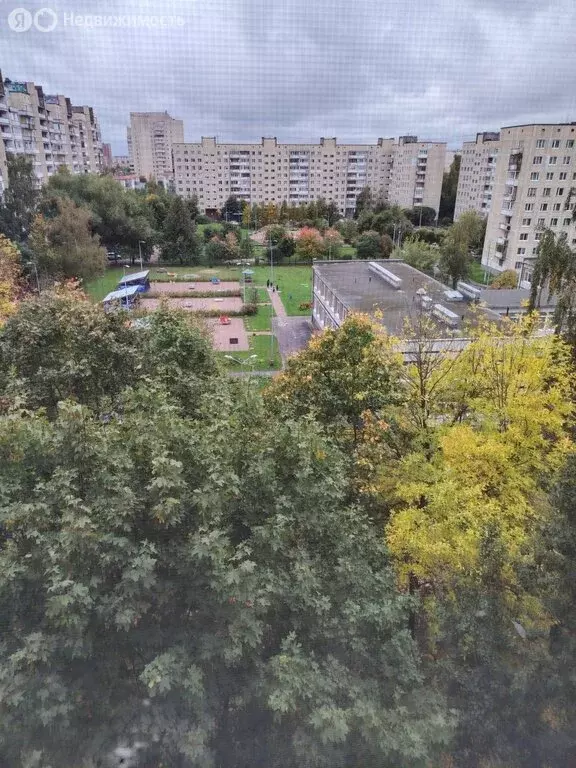 2-комнатная квартира: Колпино, улица Братьев Радченко, 23 (45.2 м) - Фото 1