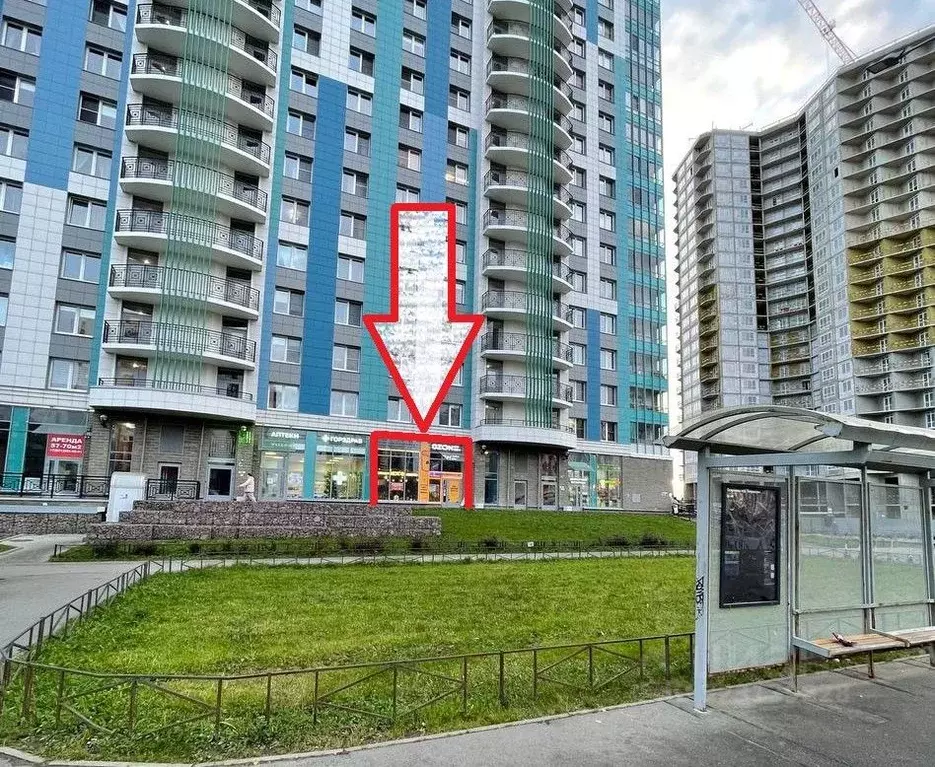 Помещение свободного назначения в Санкт-Петербург Ленинский просп., 43 ... - Фото 1