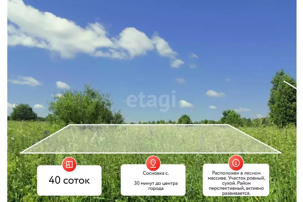 Участок в Хабаровский край, Хабаровский район, с. Сосновка Шоссейный ... - Фото 1