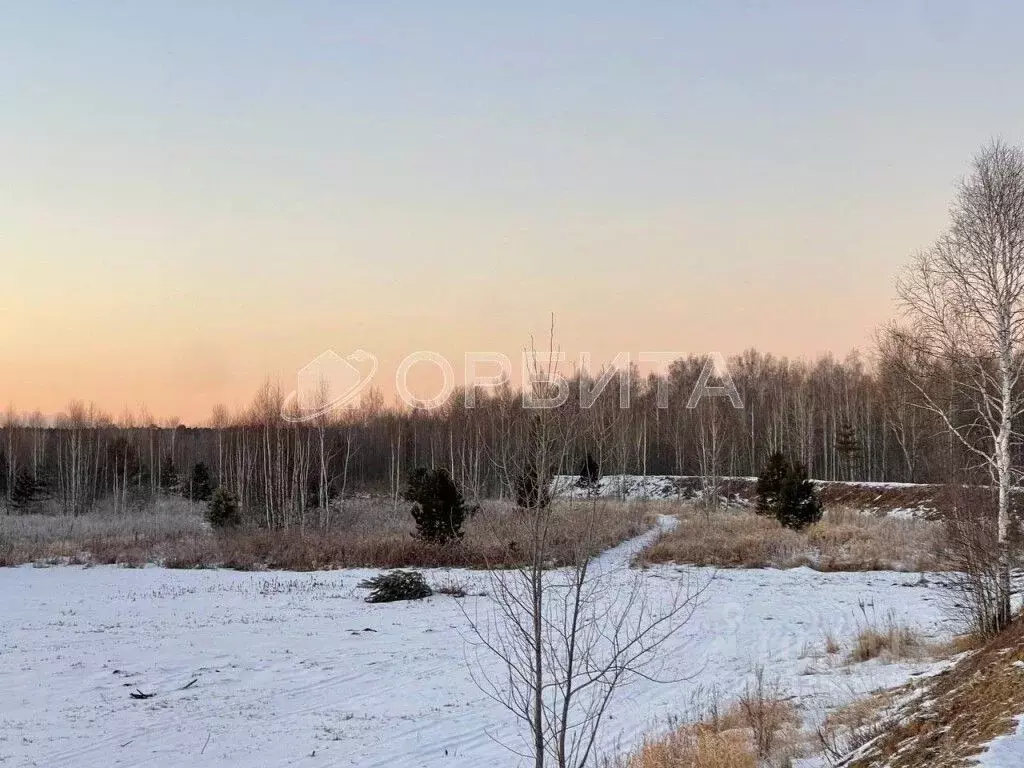 Участок в Тюменская область, Тюменский район, д. Пышминка  (12.5 сот.) - Фото 1