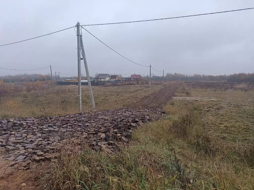 Участок в Новгородская область, Новгородский район, Ракомское с/пос, ... - Фото 1