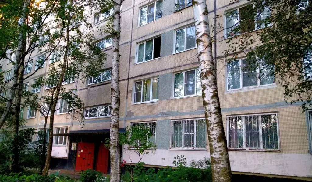 Комната Санкт-Петербург Товарищеский просп., 8 (25.2 м) - Фото 0