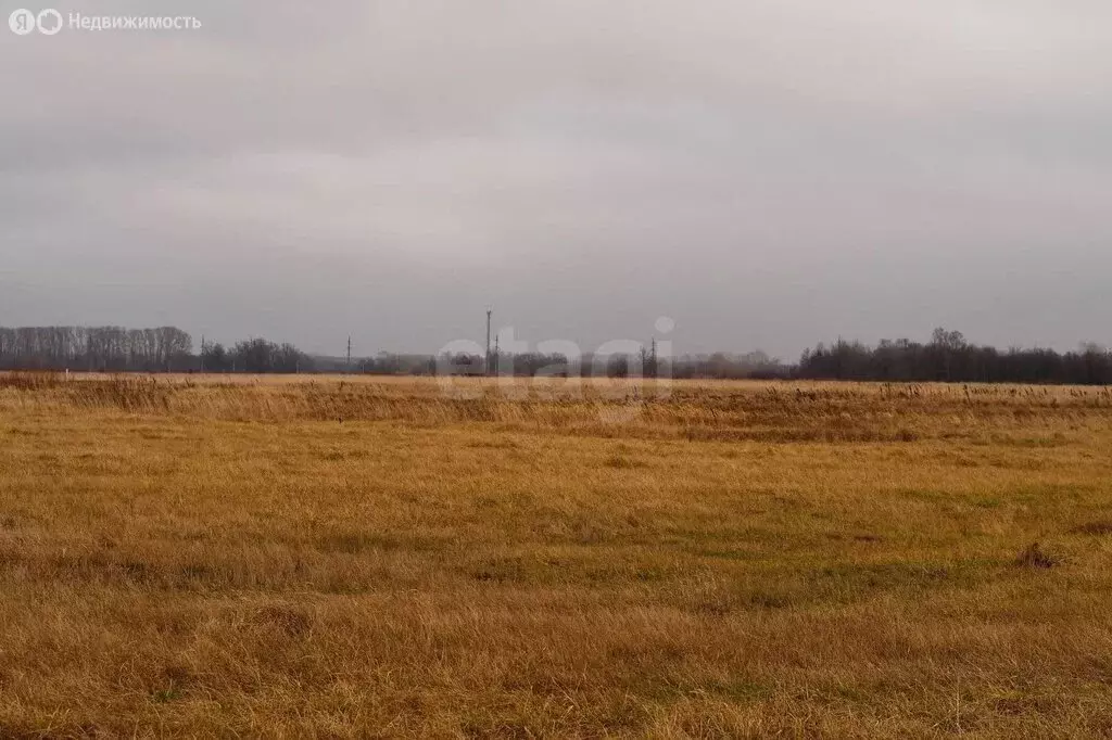 Участок в Стерлитамакский район, Отрадовский сельсовет, деревня Байрак ... - Фото 2