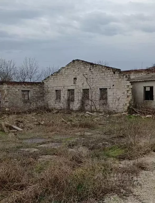 Помещение свободного назначения в Крым, Ленинский район, Багерово пгт ... - Фото 2