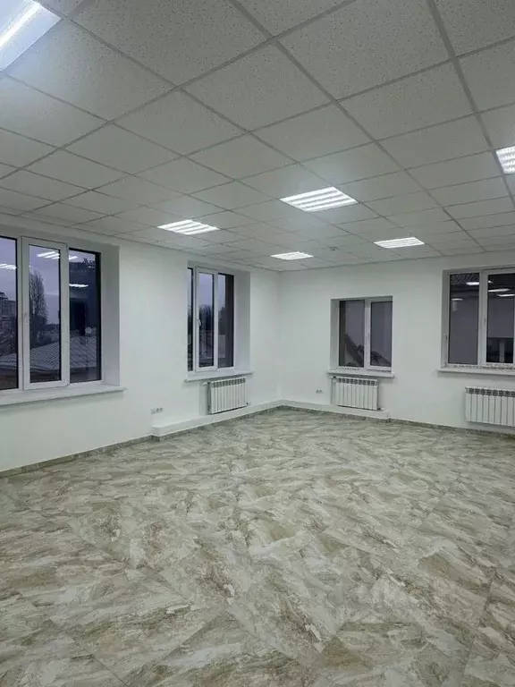 Офис в Воронежская область, Воронеж ул. Карла Маркса, 68 (30 м) - Фото 1