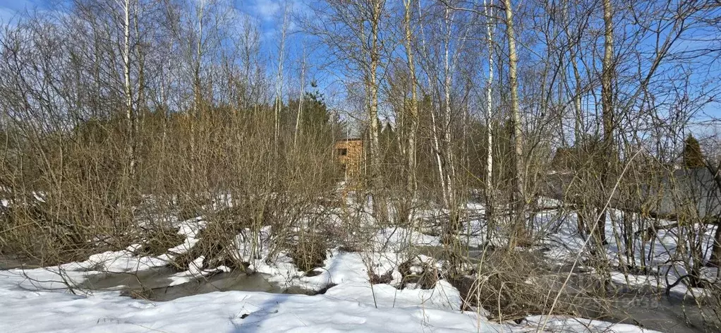 Участок в Московская область, Электросталь городской округ, д. Бабеево ... - Фото 1