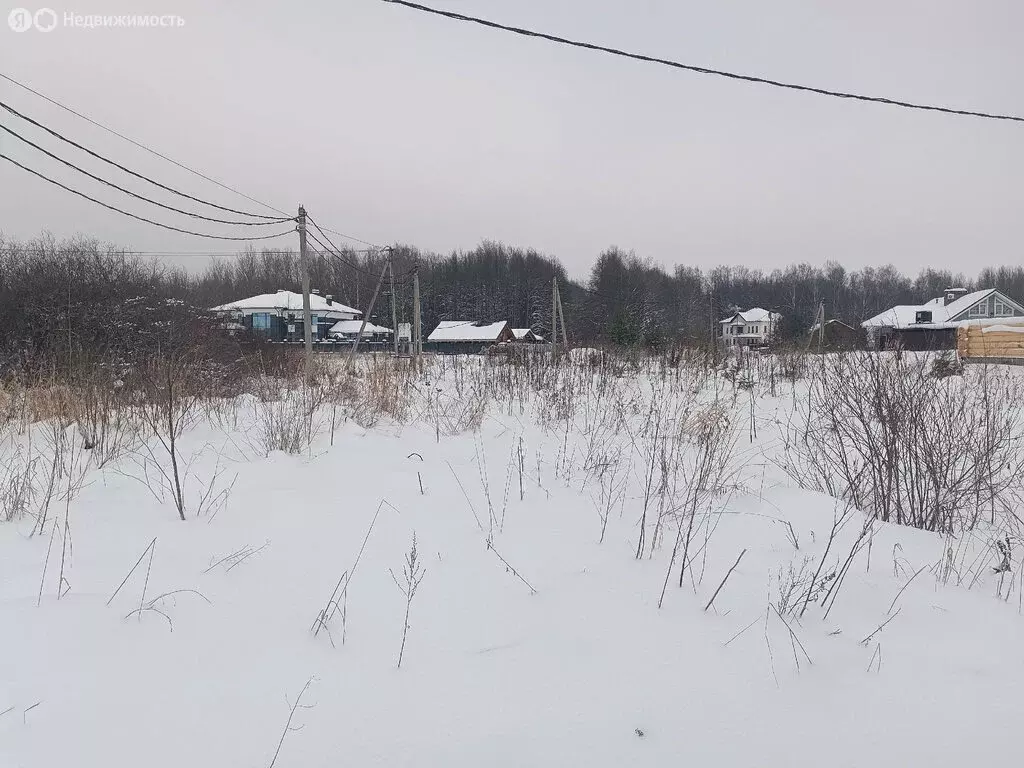 Участок в Ракомское сельское поселение, деревня Юрьево (8 м) - Фото 2