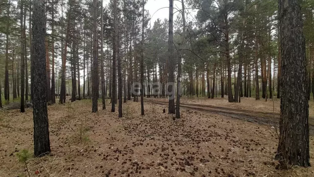 Участок в Забайкальский край, Читинский район, с. Смоленка  (9.1 сот.) - Фото 0