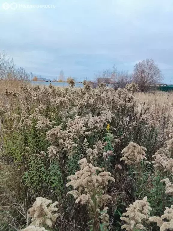 Участок в Тукаевский район, деревня Азьмушкино (8 м) - Фото 1