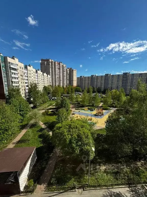 Комната Санкт-Петербург Комендантский просп., 16К2 - Фото 1