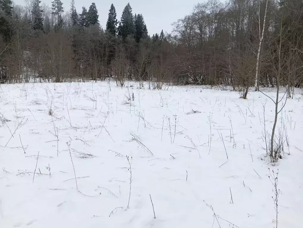 Участок в Московская область, Клин городской округ, д. Ногово  (13.17 ... - Фото 1