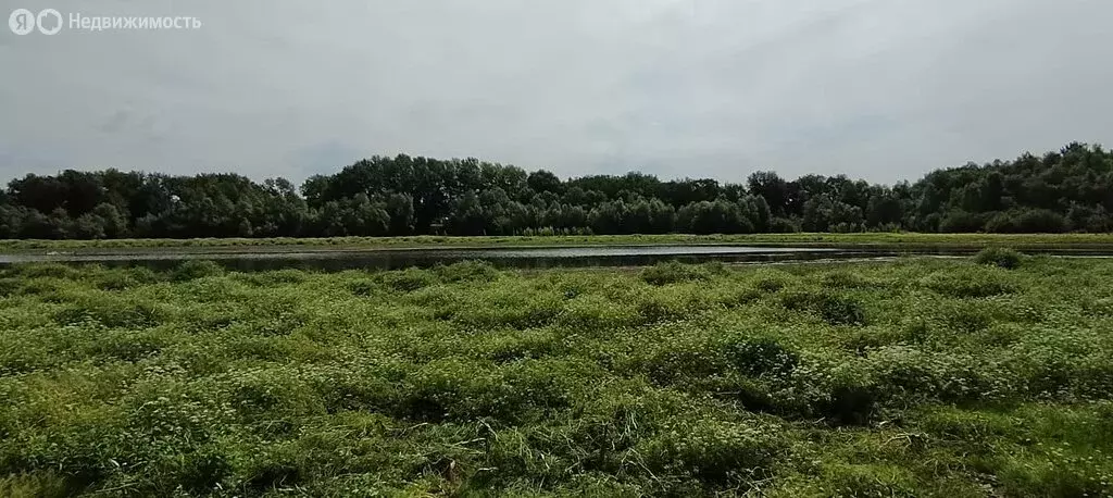Участок в Бурковский, Счастливая улица (12.5 м) - Фото 0