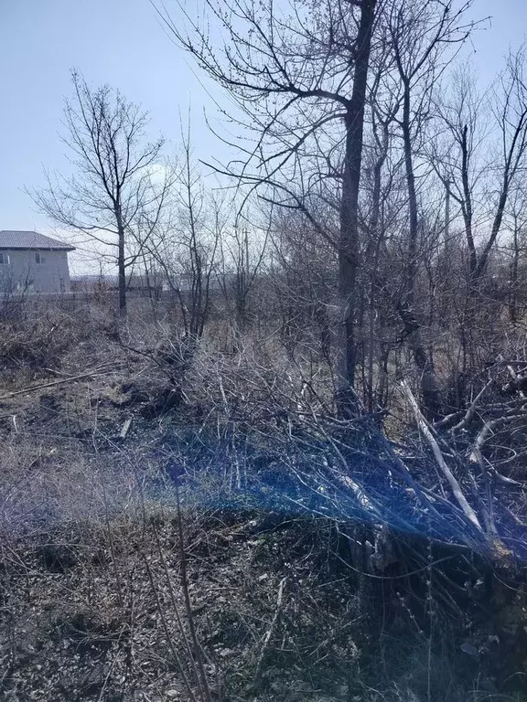 Участок 6 сот. (ИЖС) - Фото 1