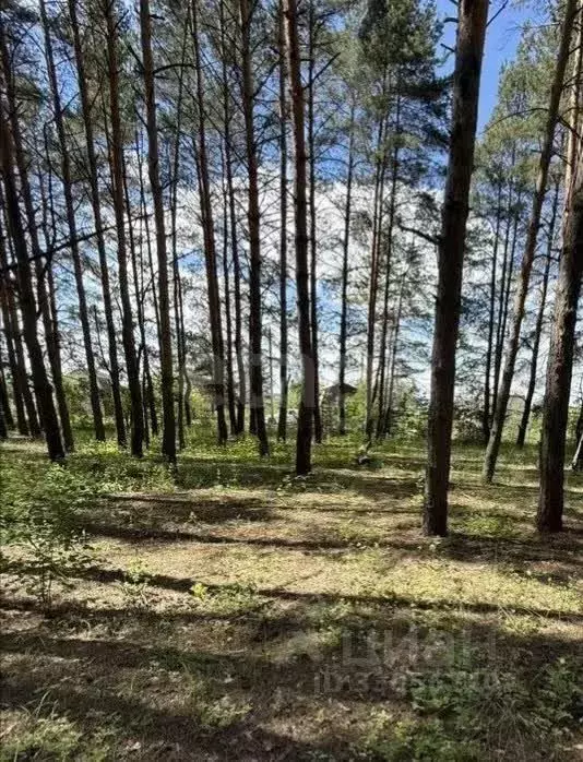 Участок в Воронежская область, Лискинский район, Петропавловское ... - Фото 1