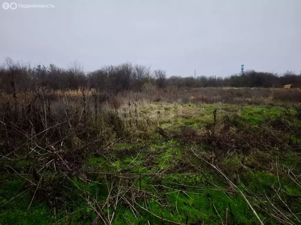 Участок в Тахтамукайский район, Старобжегокайское сельское поселение, ... - Фото 2