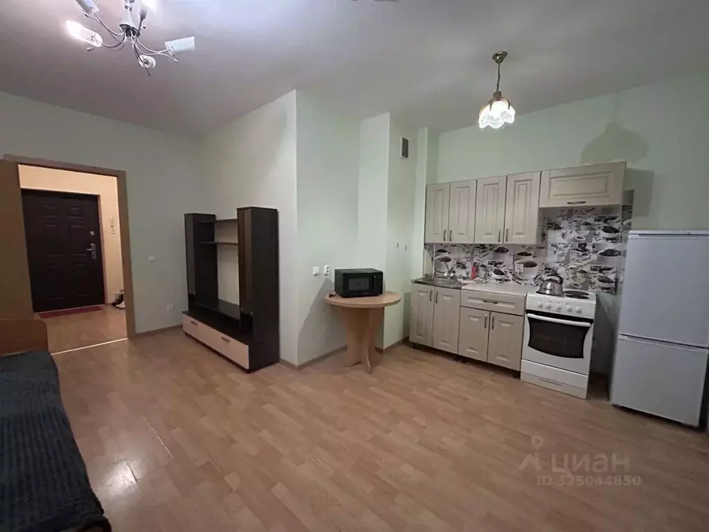 Студия Свердловская область, Екатеринбург ул. Парниковая, 6 (26.8 м) - Фото 1