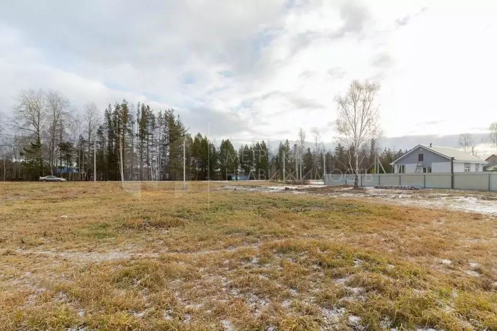 Участок в Тюменская область, Нижнетавдинский муниципальный округ, с. ... - Фото 1