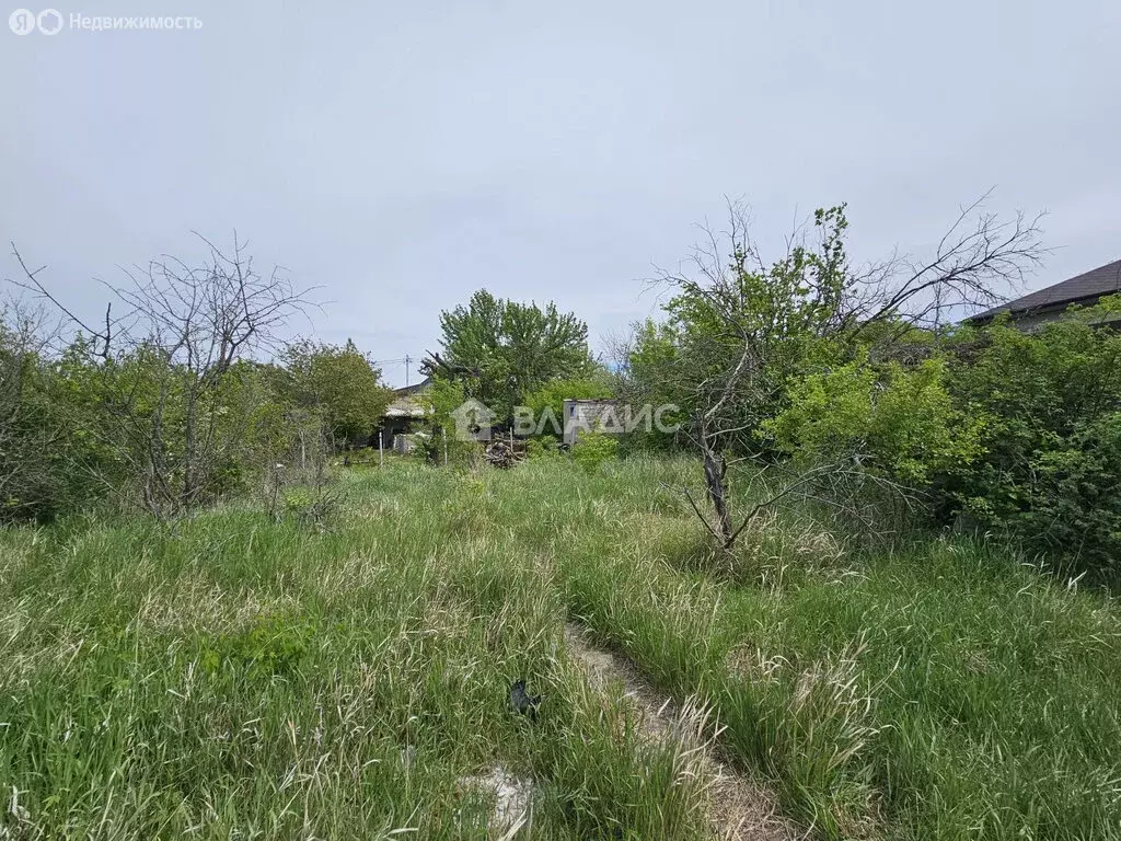 Участок в Волгоград, СТ Лазурное, 44 (5.04 м) - Фото 1