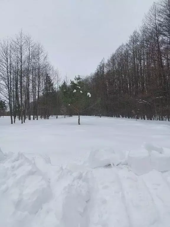 Участок в Московская область, Воскресенск городской округ, д. Губино ... - Фото 1