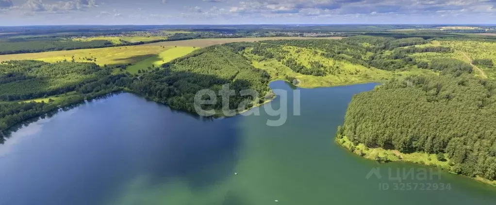 Участок в Нижегородская область, Богородский муниципальный округ, д. ... - Фото 1