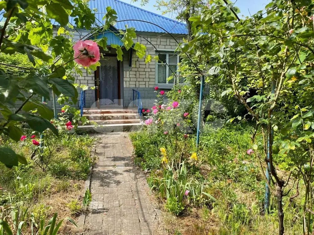 Дом в Краснодарский край, Анапа муниципальный округ, Рассвет хут. ул. ... - Фото 0