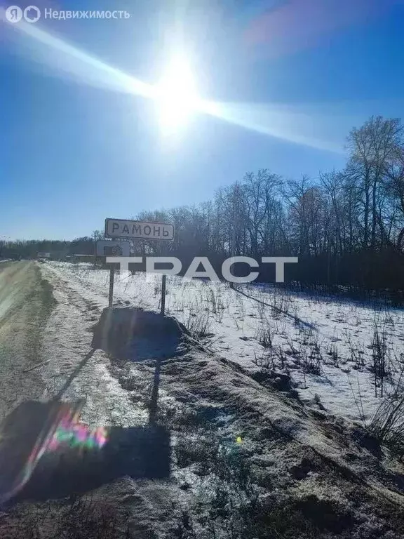Участок в Воронежская область, рабочий посёлок Рамонь, Дорожная улица, ... - Фото 2