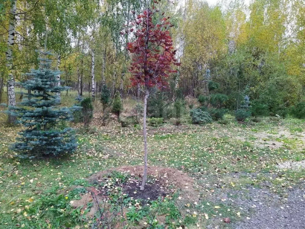 Участок в Московская область, Голицыно Одинцовский городской округ, ... - Фото 0