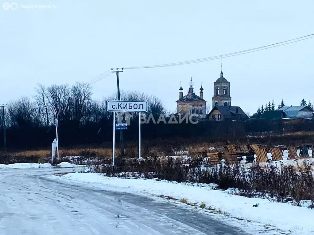 Участок в Суздальский район, муниципальное образование Селецкое, село ... - Фото 0