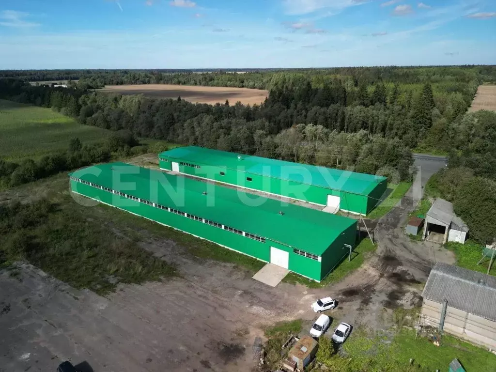 Помещение свободного назначения в Ленинградская область, Волосовский ... - Фото 1