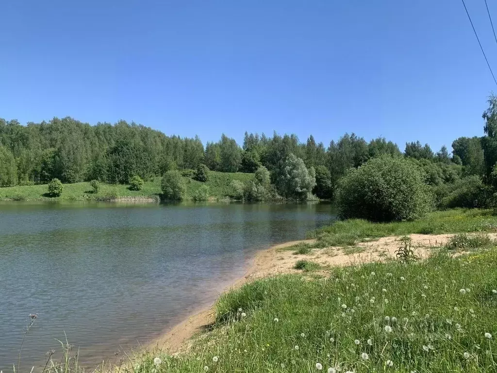 Участок в Московская область, Истра муниципальный округ, д. Бужарово  ... - Фото 2