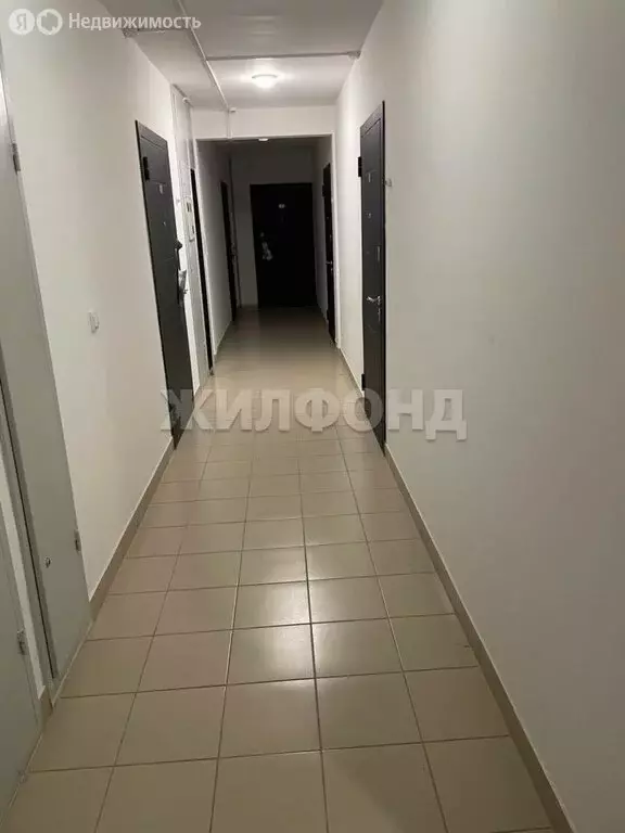 Квартира-студия: Новосибирск, улица Забалуева, 98 (28.3 м) - Фото 2