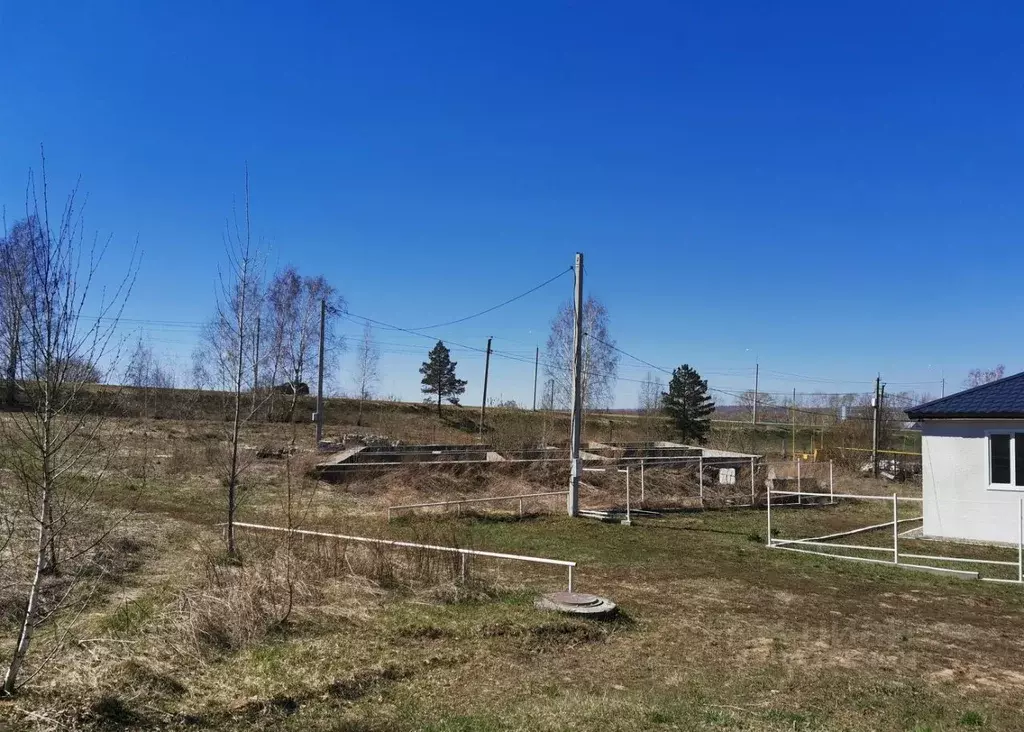 Участок в Алтайский край, Барнаул городской округ, Поселок Казенная ... - Фото 0