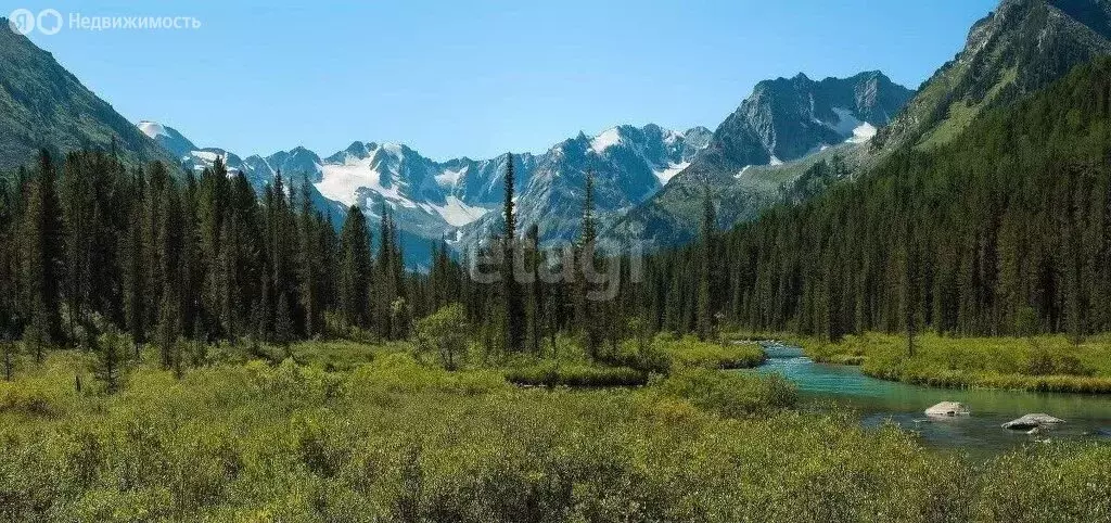 Участок в Усть-Коксинский район, село Верх-Уймон (1200 м) - Фото 0