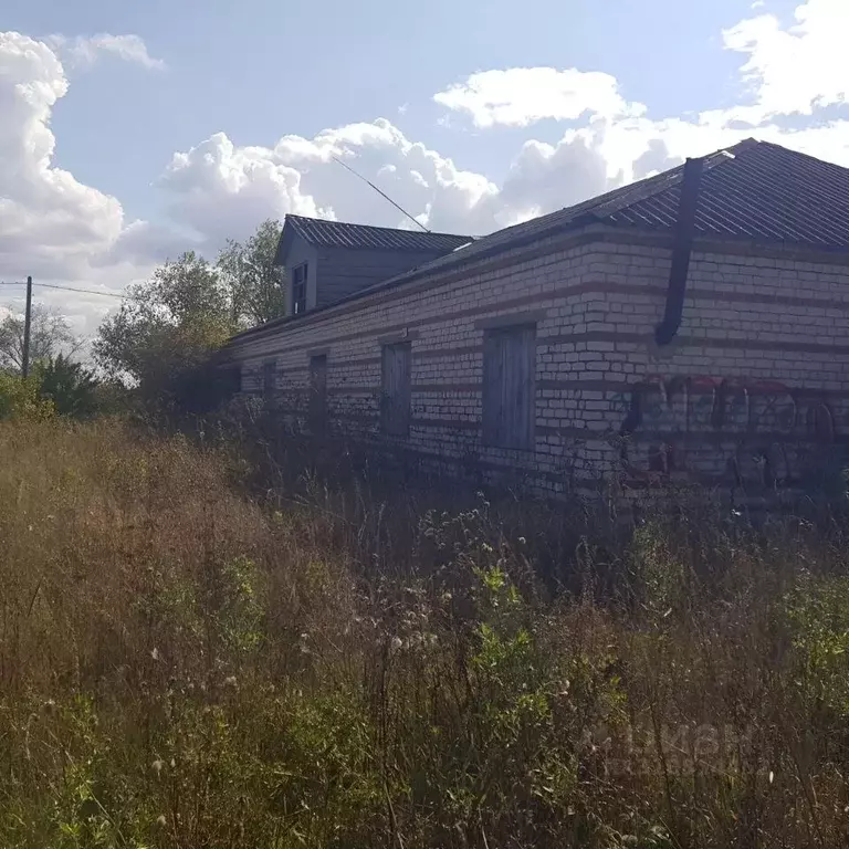 Помещение свободного назначения в Нижегородская область, Шатковский ... - Фото 0