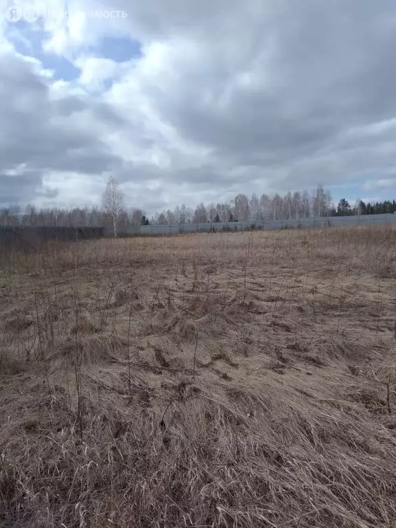 Участок в Солонцовский сельсовет, садоводческое некоммерческое ... - Фото 0