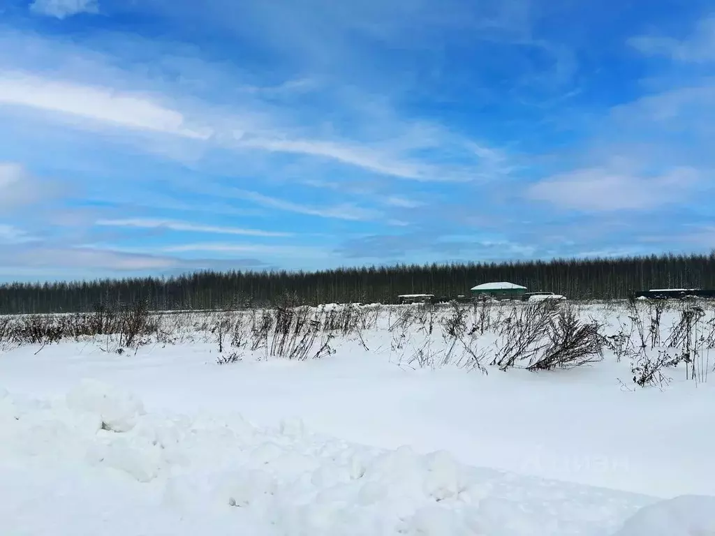 Участок в Московская область, Раменский муниципальный округ, Оттепель ... - Фото 1